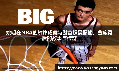 姚明在NBA的辉煌成就与财富积累揭秘，金库背后的故事与传奇