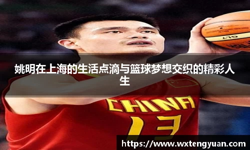 姚明在上海的生活点滴与篮球梦想交织的精彩人生
