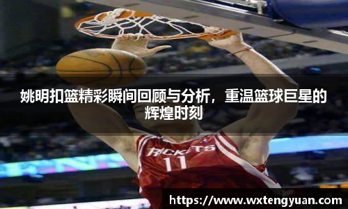 中欧体育