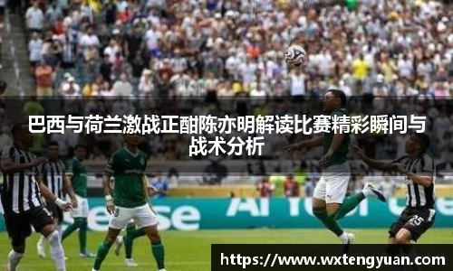 zoty体育