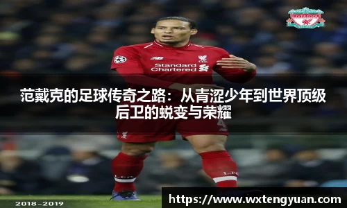 范戴克的足球传奇之路：从青涩少年到世界顶级后卫的蜕变与荣耀